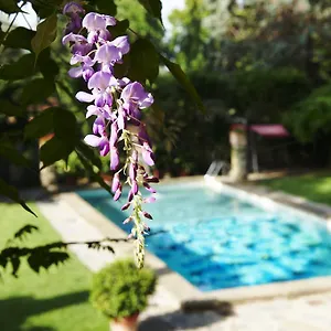 Hotel Park Palace, Florenz
